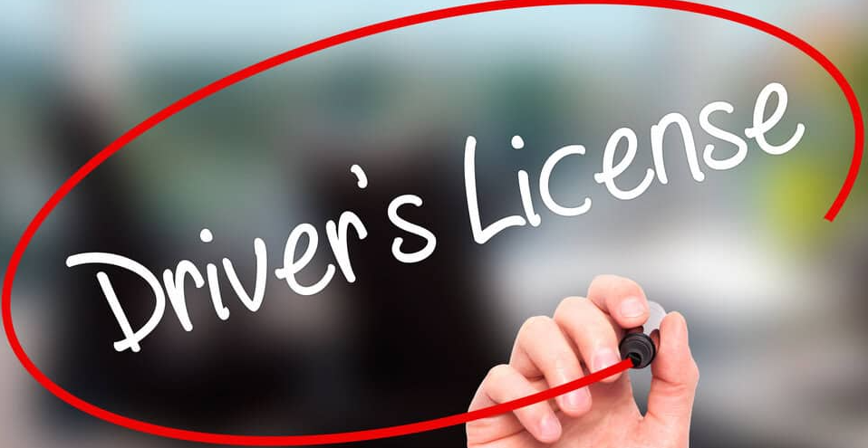 How Can Driver’s License Services Help You Navigate the Application Process?